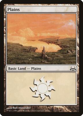 Plains (29) card from Duel Decks: Divine vs. Demonic