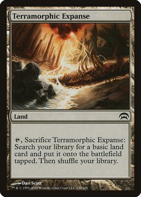Terramorphic Expanse card from Planechase
