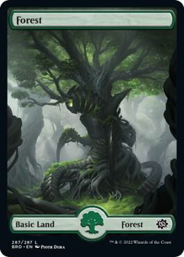 Forest (287) - Full Art card from The Brothers' War