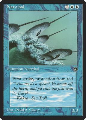 Narwhal card from Homelands