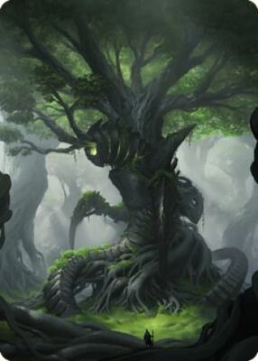 Forest Art Card card from Art Series: The Brothers' War