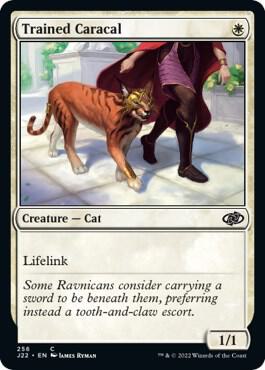 Trained Caracal card from Jumpstart 2022