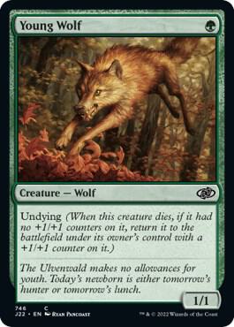 Young Wolf card from Jumpstart 2022