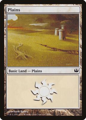 Plains (39) card from Duel Decks: Knights vs. Dragons