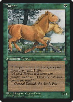 Tarpan card from Ice Age