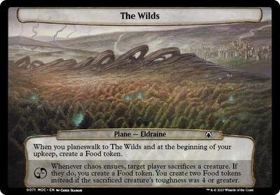 The Wilds card from Planechase: March of the Machine