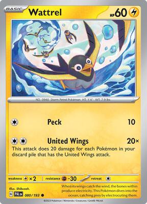 Wattrel - 080/193 card from SV02: Paldea Evolved