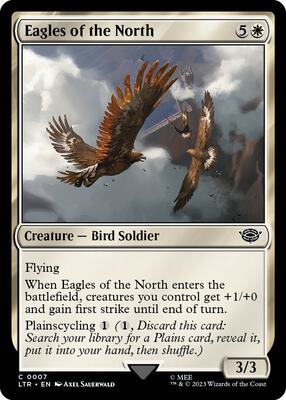 Eagles of the North card from Universes Beyond: The Lord of the Rings: Tales of Middle-earth