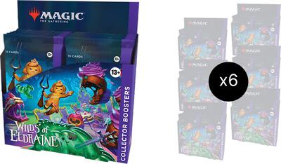 Wilds of Eldraine - Collector Booster Display Case card from Wilds of Eldraine