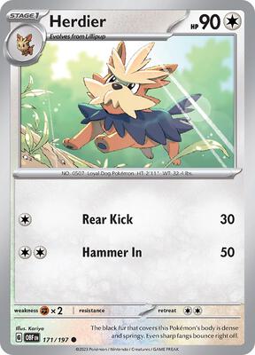 Herdier card from SV03: Obsidian Flames