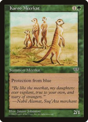 Karoo Meerkat card from Mirage