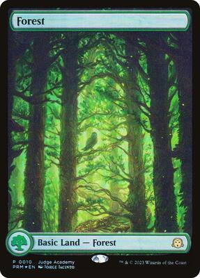 Forest - Full Art (0010) card from Judge Promos