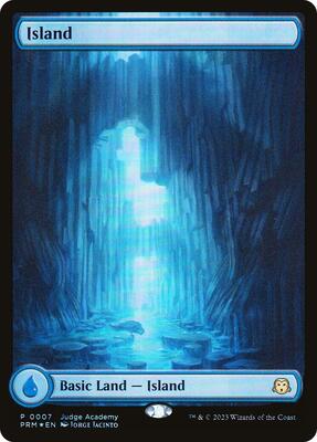Island - Full Art (0007) card from Judge Promos