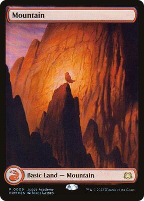 Mountain - Full Art (0009) card from Judge Promos