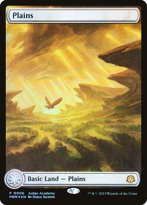Plains - Full Art (0006) card from Judge Promos