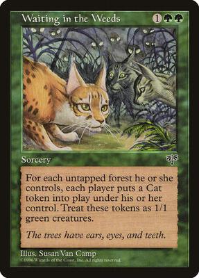 Waiting in the Weeds card from Mirage