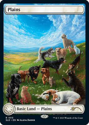 Plains (1513) card from Secret Lair Drop Series