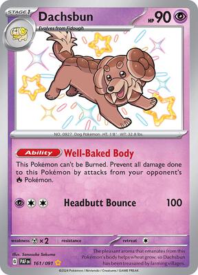 Dachsbun - 161/091 card from SV: Paldean Fates