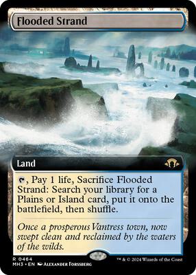 Flooded Strand (Extended Art) card from Modern Horizons 3