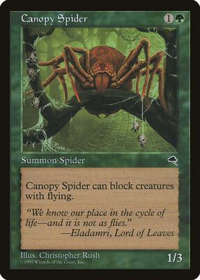 Canopy Spider card from Tempest