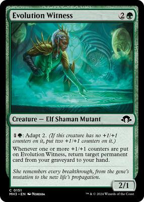 Evolution Witness card from Modern Horizons 3