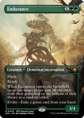 Endurance (Borderless) card from Special Guests