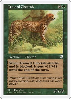 Trained Cheetah card from Portal Three Kingdoms