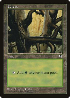 Forest (Ledge) card from Tempest