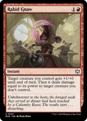 Rabid Gnaw card from Bloomburrow