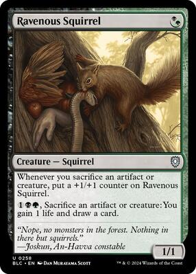 Ravenous Squirrel card from Commander: Bloomburrow