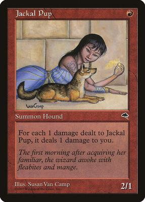 Jackal Pup card from Tempest