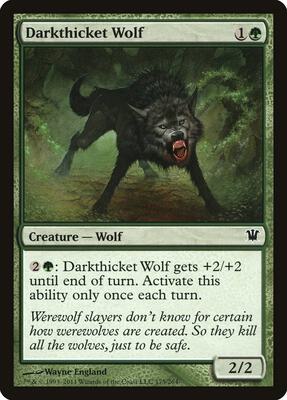 Darkthicket Wolf card from Innistrad