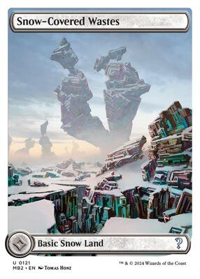 Snow-Covered Wastes (White Border) card from Mystery Booster 2