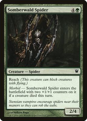 Somberwald Spider card from Innistrad