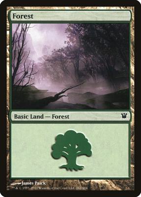 Forest (262) card from Innistrad