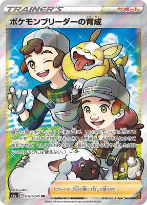 Pokemon Breeder's Nurturing - 078/070 card from S2a: Explosive Walker