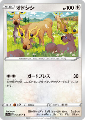 Stantler card from S9a: Battle Region
