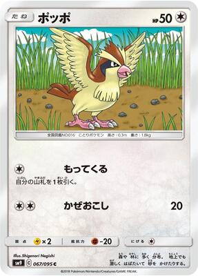 Pidgey - 067/095 card from SM9: Tag Bolt