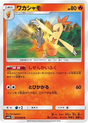 Combusken card from SM6b: Champion Road