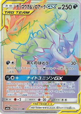 Greninja & Zoroark GX - 066/055 card from SM9a: Night Unison