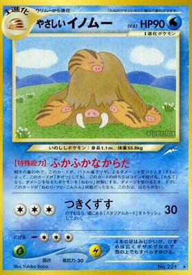 Light Piloswine card from Darkness, and to Light...