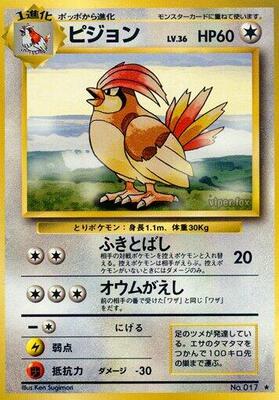 Pidgeotto card from Expansion Pack