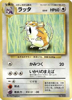 Raticate card from Expansion Pack (No Rarity)