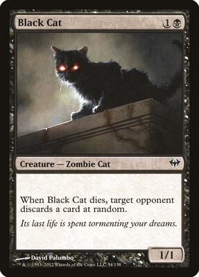 Black Cat card from Dark Ascension