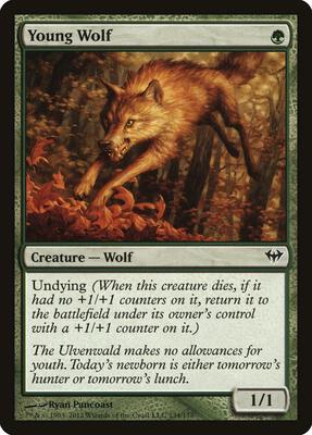 Young Wolf card from Dark Ascension
