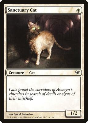 Sanctuary Cat card from Dark Ascension
