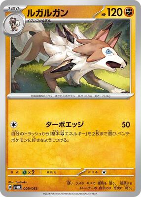 Lycanroc card from SV: Ancient Koraidon ex Starter Deck & Build Set