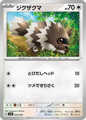 Zigzagoon card from SV: Venusaur, Charizard & Blastoise Special Deck Set