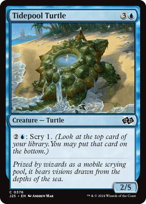 Tidepool Turtle card from Foundations Jumpstart