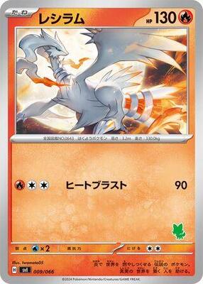 Reshiram card from Battle Academy